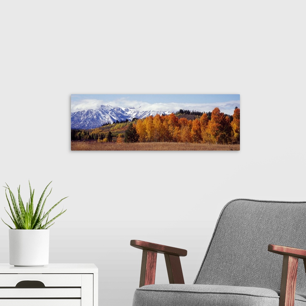 A modern room featuring Autumn Grand Teton National Park WY