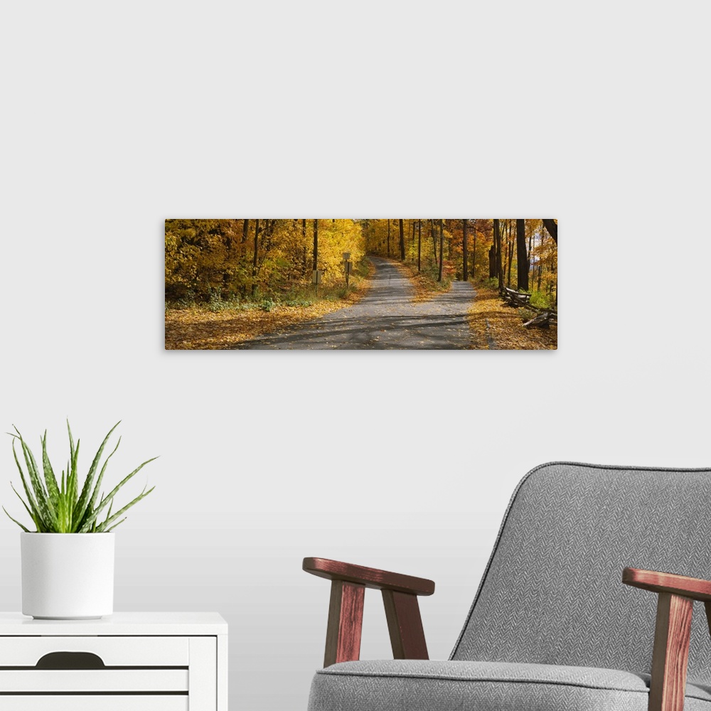 A modern room featuring Autumn leaves on the road, Connecticut