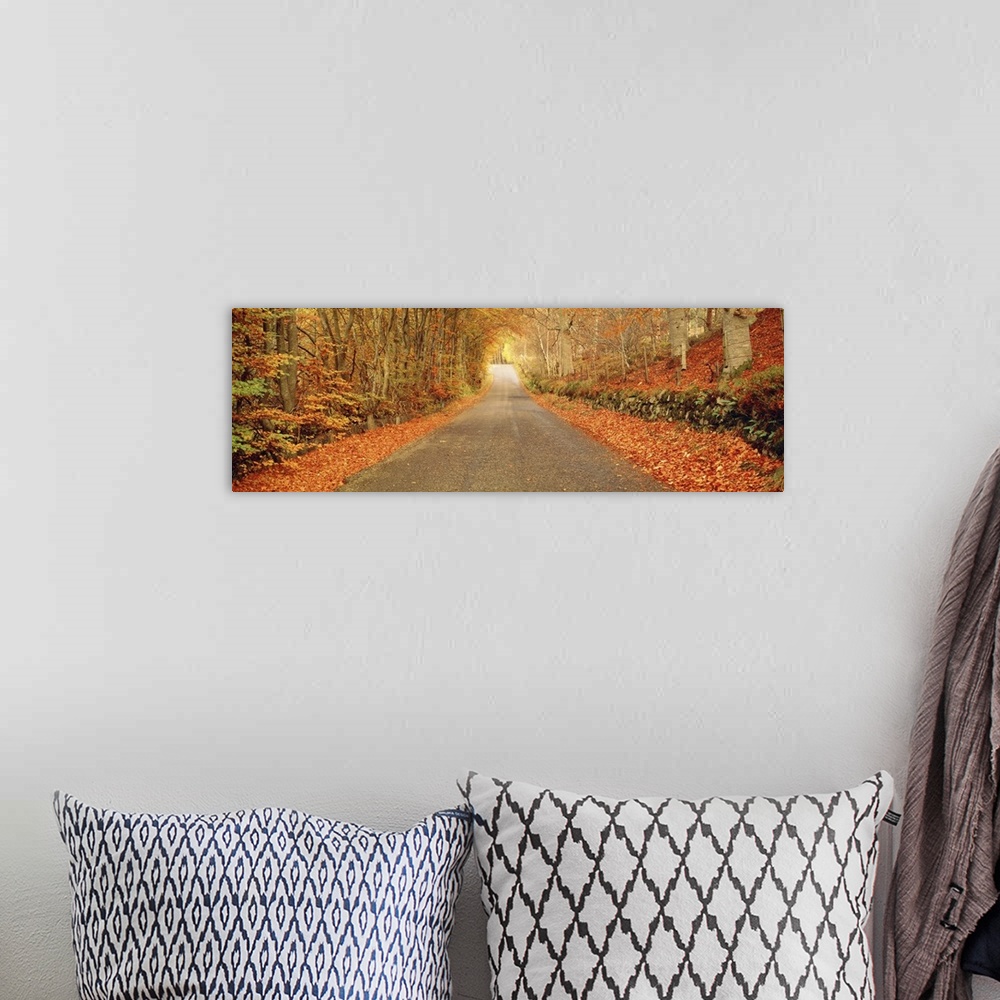 A bohemian room featuring Panoramic photograph taken of a desolate street encapsulated by a woodland full of bare trees and...