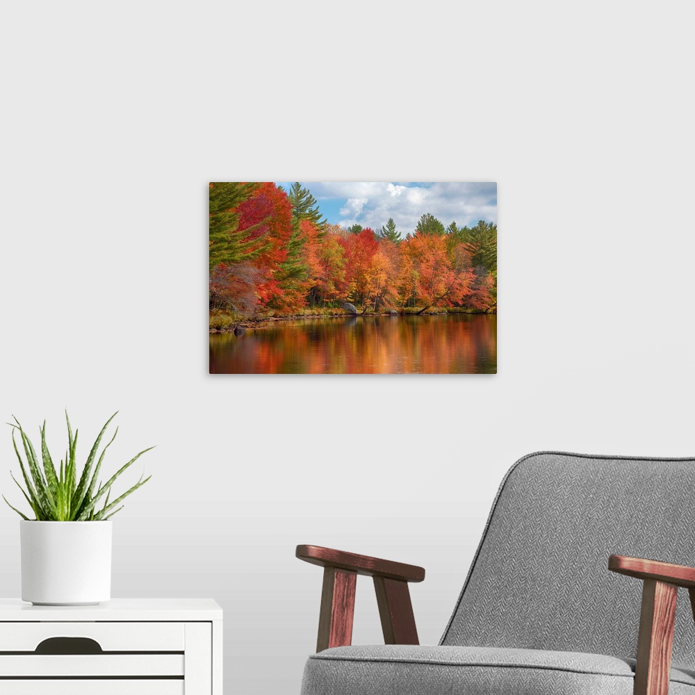 A modern room featuring Autumn trees at riverbank, Oswegatchie River, Adirondack Mountains State Park, New York State, USA