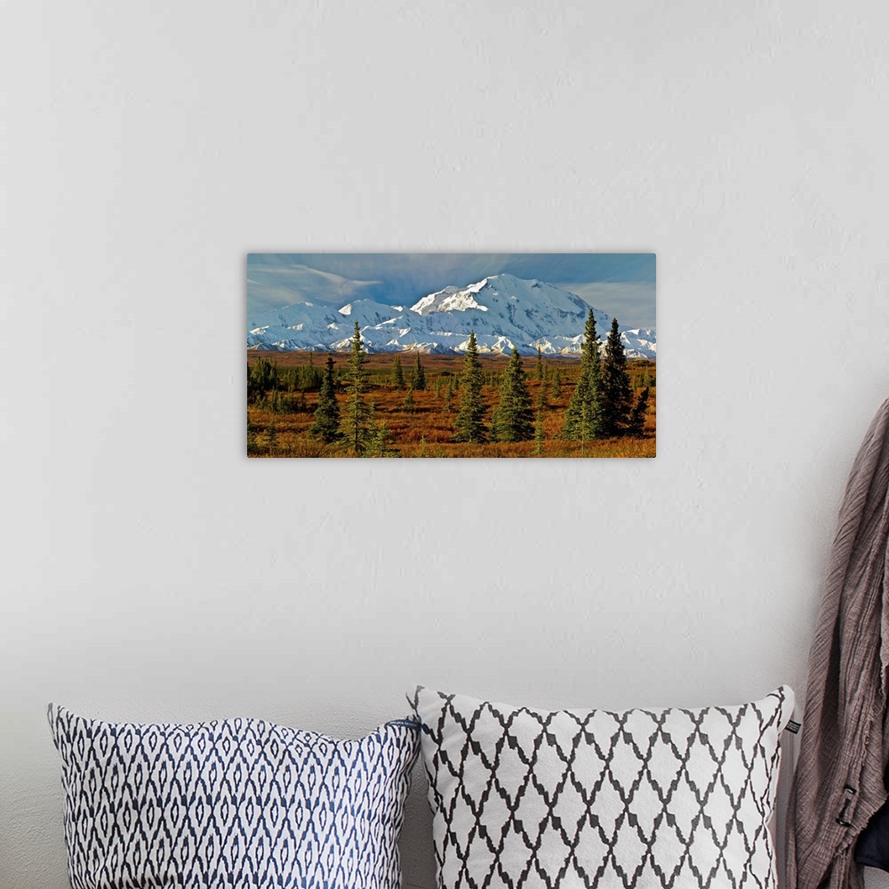 A bohemian room featuring Autumn tundra and spruce trees, Mt McKinley, Denali National Park, Alaska