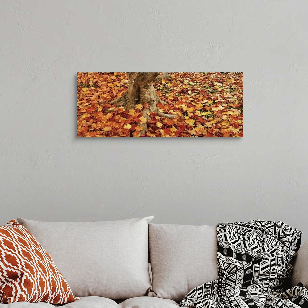 A bohemian room featuring Autumnal leaves of a Maple tree scattered on the ground