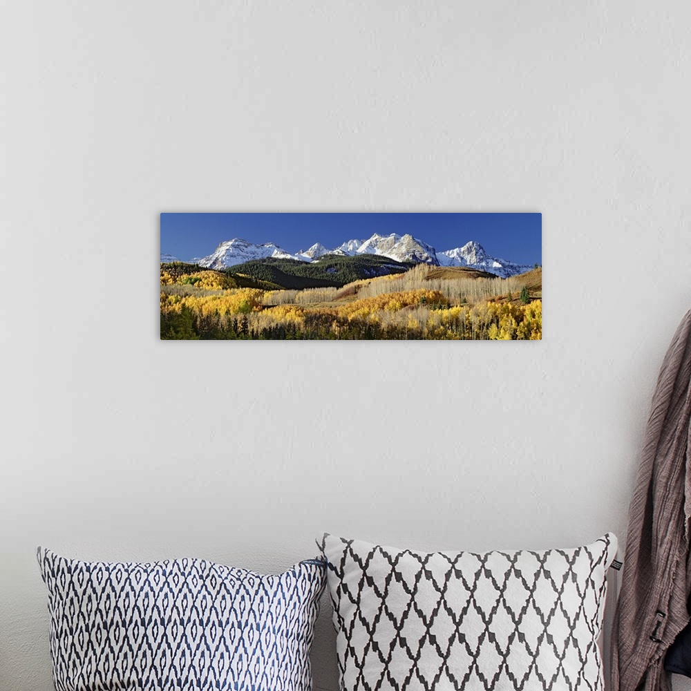 A bohemian room featuring A wide angle photograph of a large forest during the fall season with snow covered mountains just...