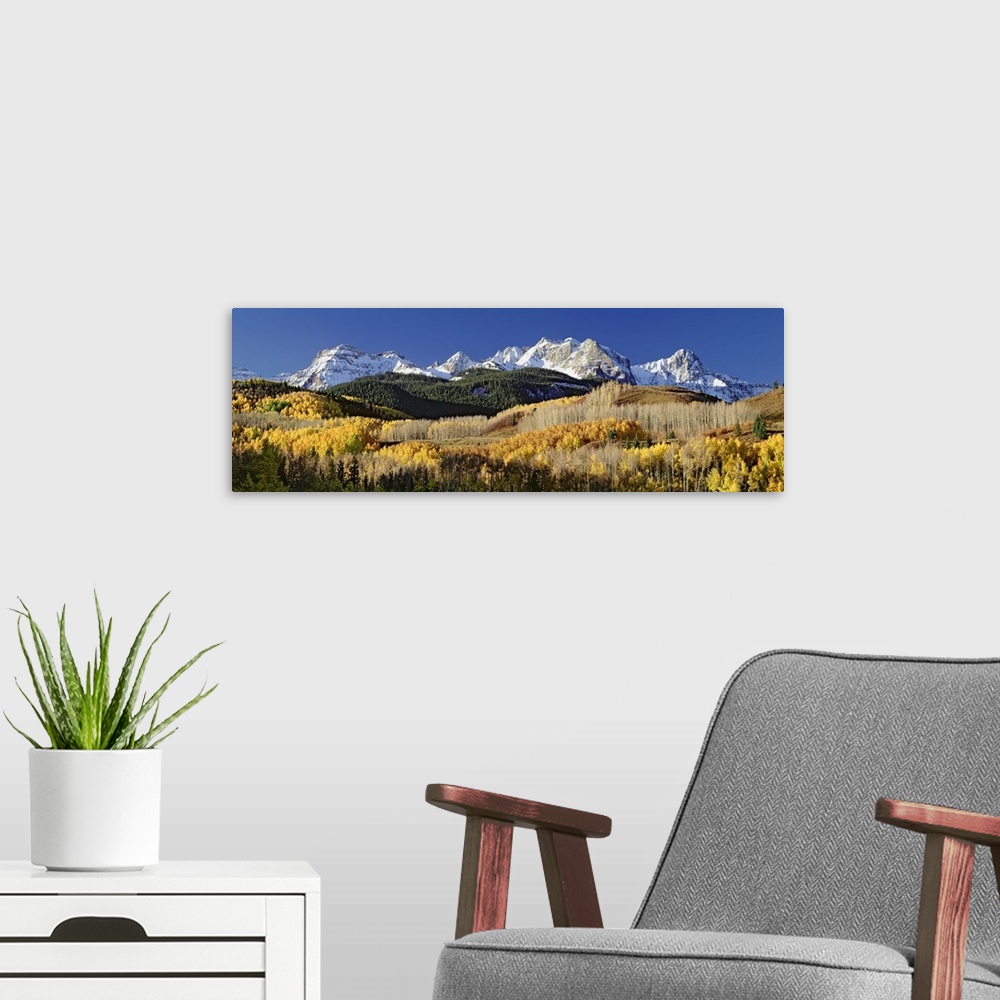 A modern room featuring A wide angle photograph of a large forest during the fall season with snow covered mountains just...