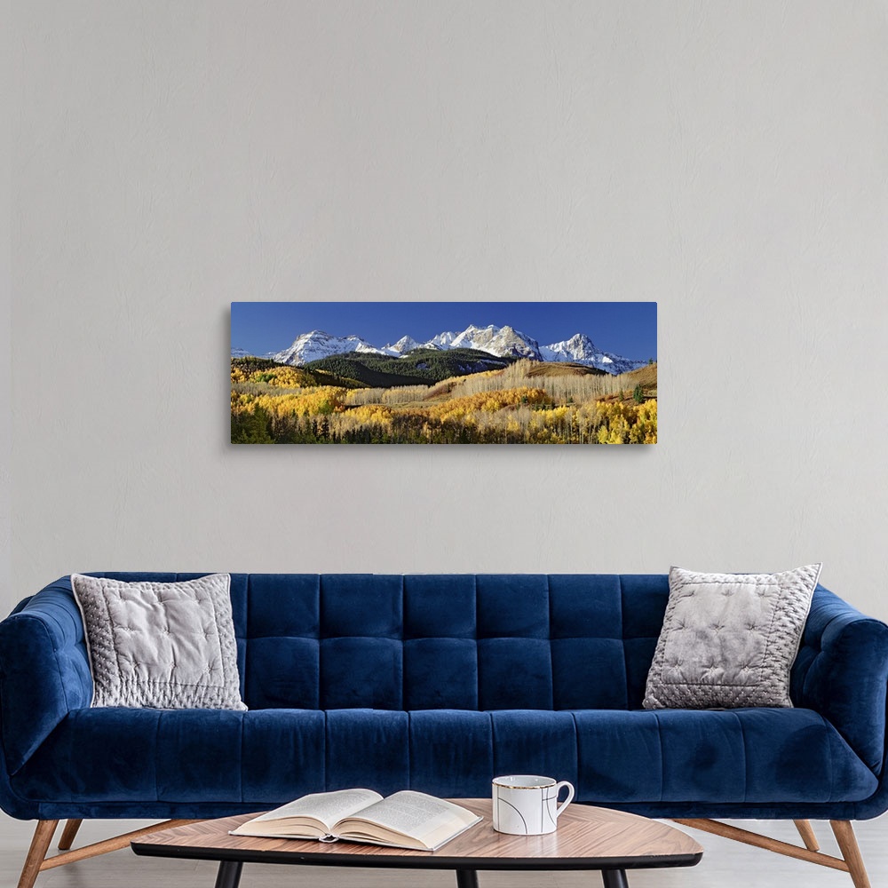 A modern room featuring A wide angle photograph of a large forest during the fall season with snow covered mountains just...
