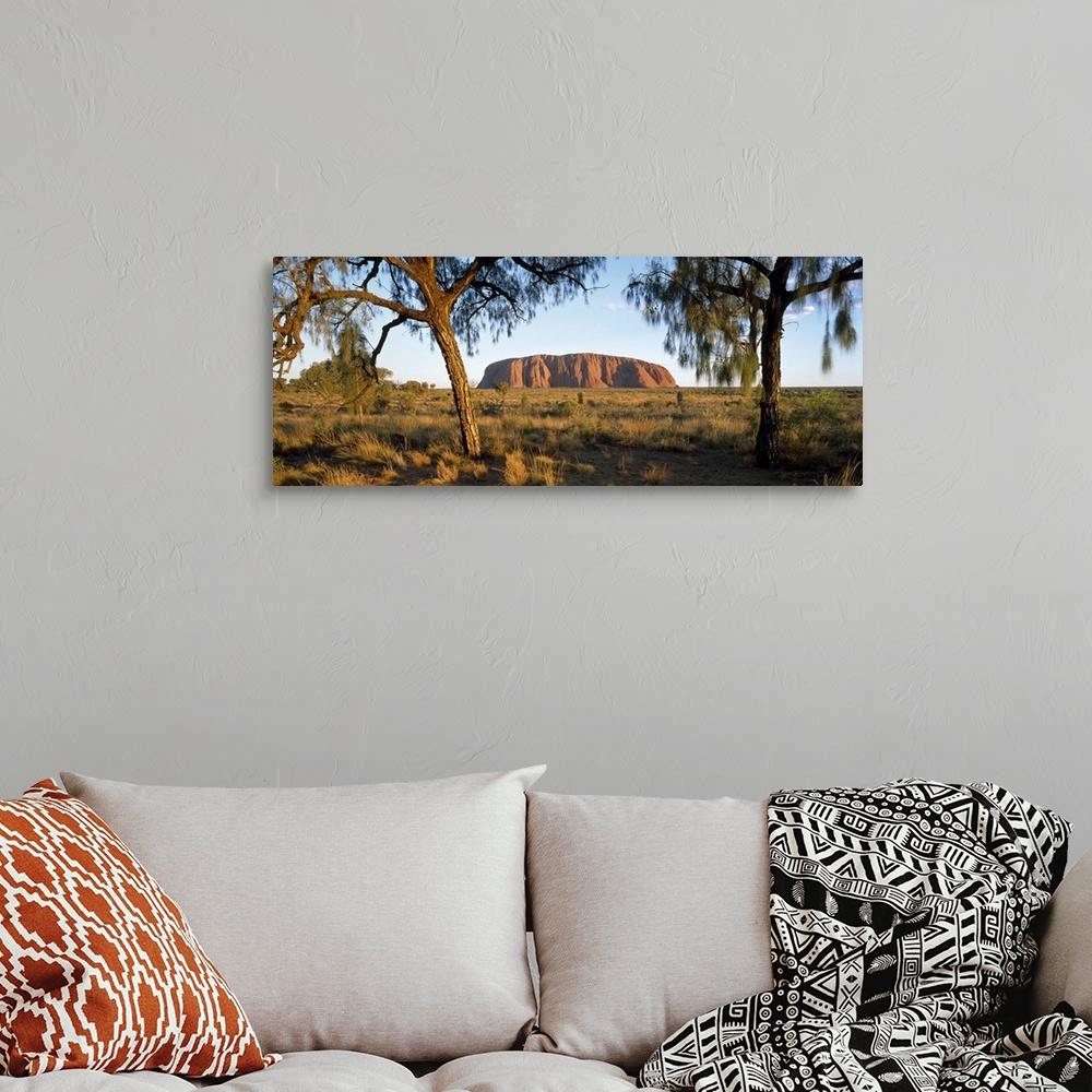A bohemian room featuring This panoramic photograph is taken of Ayers Rock from a distance through trees and across massive...