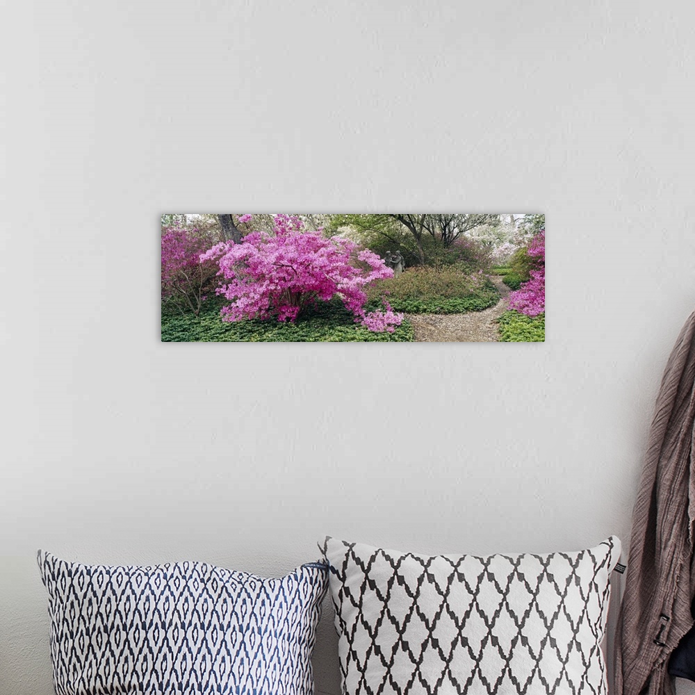 A bohemian room featuring Long photo of brightly colored flowers blooming on small trees in a garden.