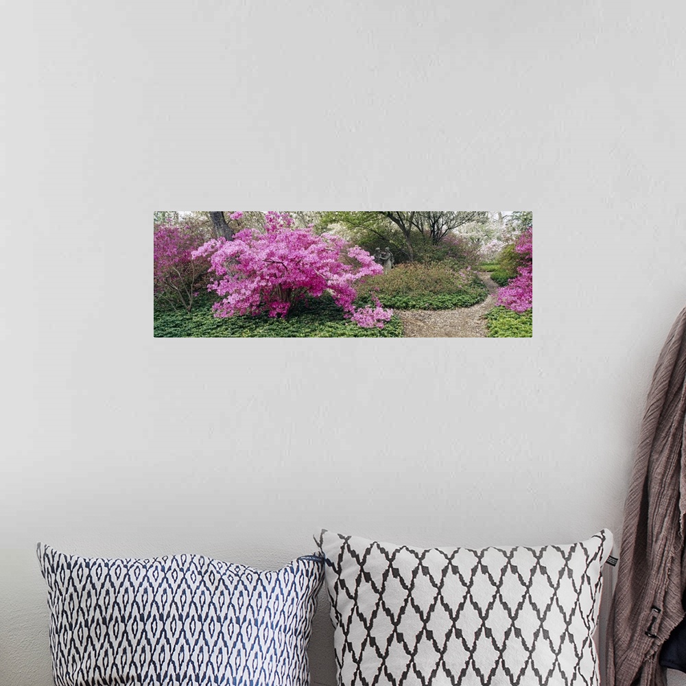 A bohemian room featuring Long photo of brightly colored flowers blooming on small trees in a garden.