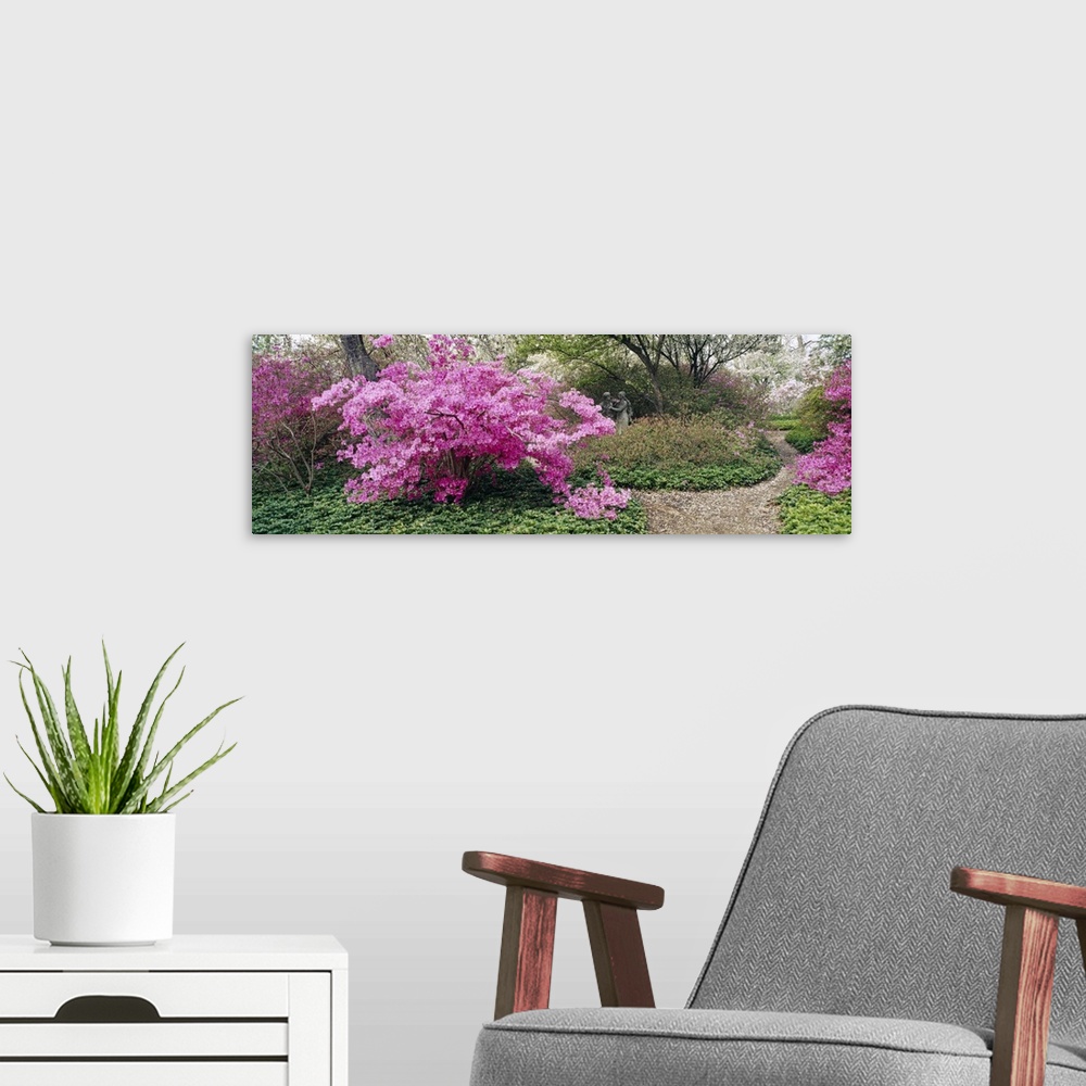 A modern room featuring Long photo of brightly colored flowers blooming on small trees in a garden.