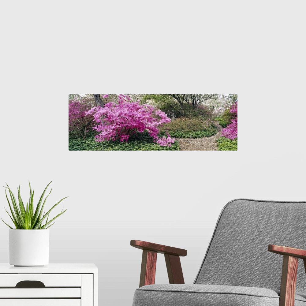 A modern room featuring Long photo of brightly colored flowers blooming on small trees in a garden.