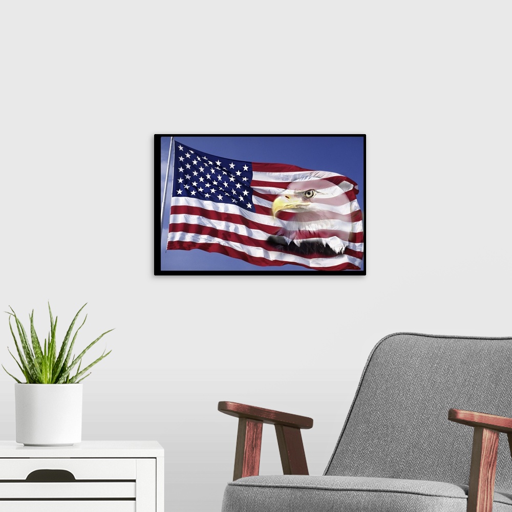 A modern room featuring Bald Eagle on Flag