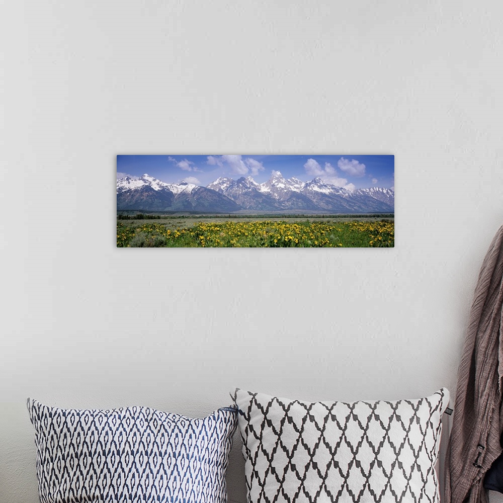 A bohemian room featuring Long horizontal photo on canvas of rugged snow covered mountains in the background of a field.