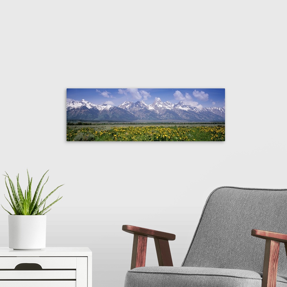 A modern room featuring Long horizontal photo on canvas of rugged snow covered mountains in the background of a field.