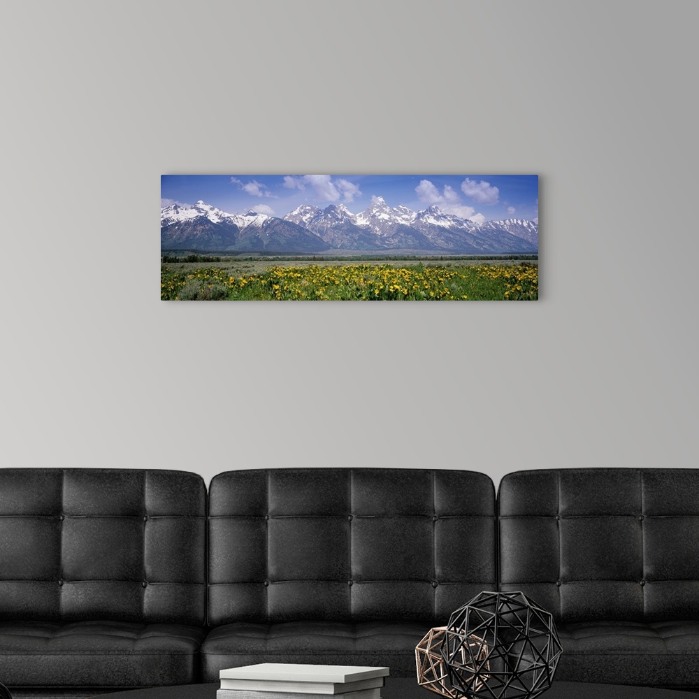 A modern room featuring Long horizontal photo on canvas of rugged snow covered mountains in the background of a field.
