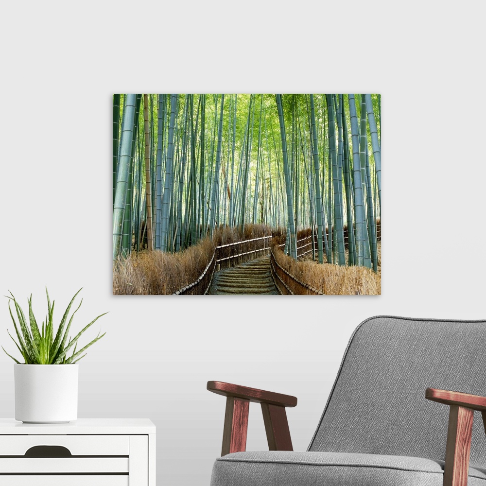 A modern room featuring Forest stairway Kyoto Japan