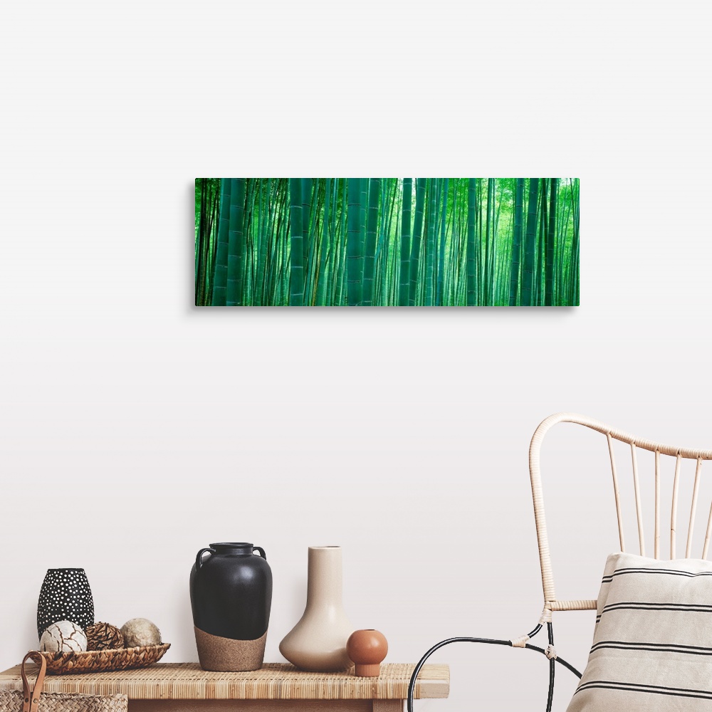 A farmhouse room featuring Panoramic wall art of vertical stalks of bamboo in a shaded forest.