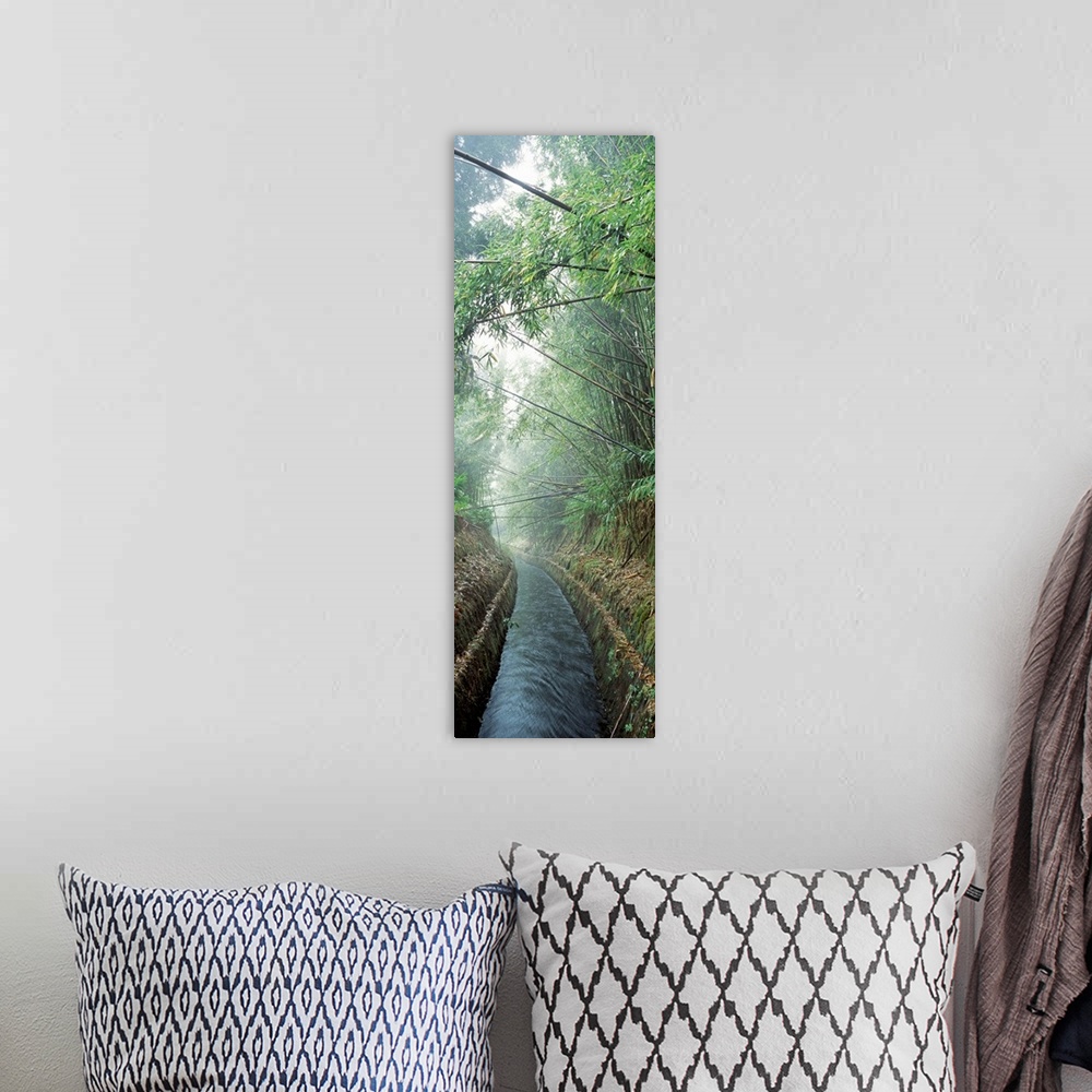 A bohemian room featuring A small canal passes through a misty bamboo forest on a Hawaiian island in this vertical photogra...