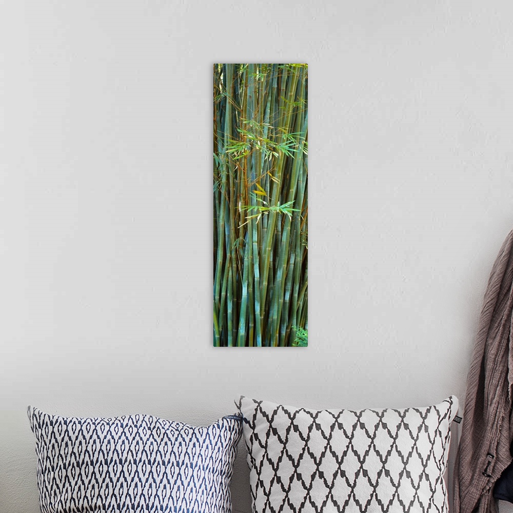 A bohemian room featuring Vertical panoramic photograph of trees and leaves.