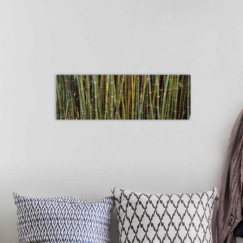 A bohemian room featuring Long image of bamboo printed onto canvas.