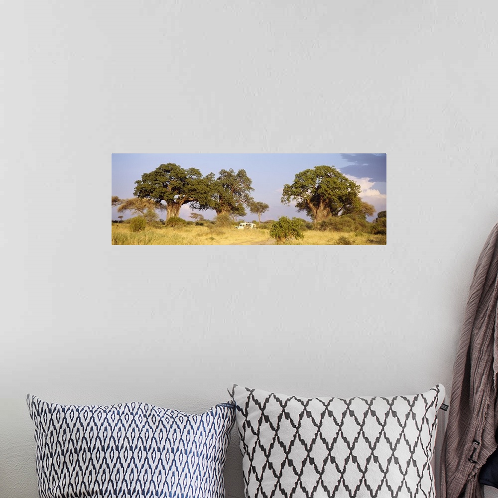 A bohemian room featuring Baobab Trees and Safari Tarangire Tanzania Africa
