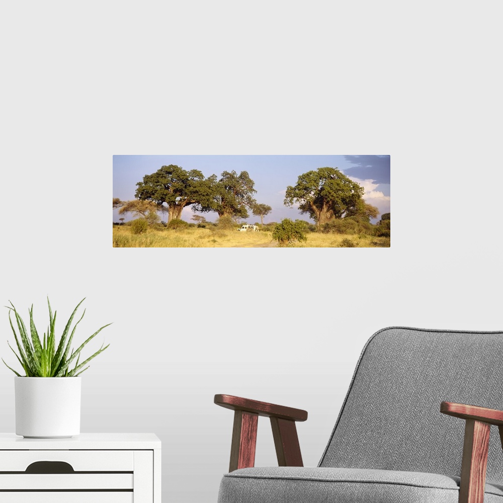 A modern room featuring Baobab Trees and Safari Tarangire Tanzania Africa