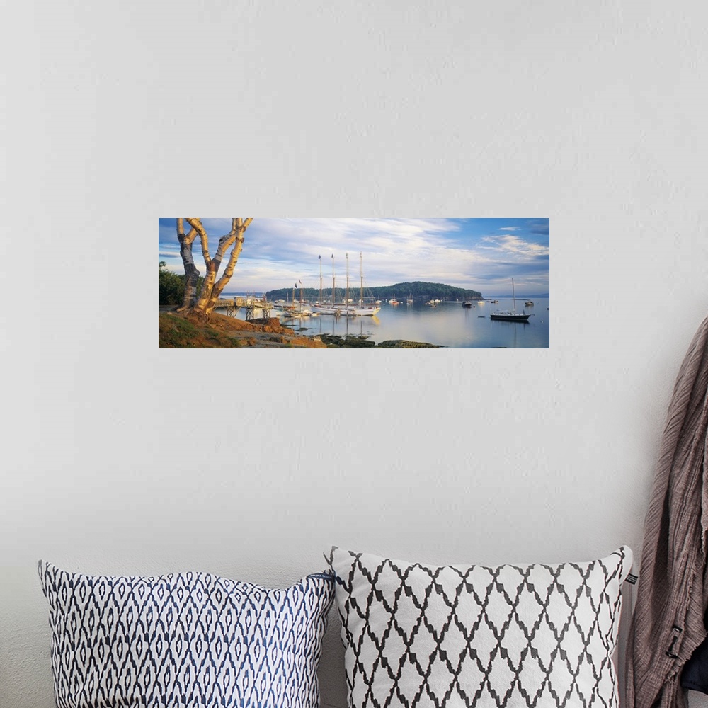 A bohemian room featuring Giant horizontal photograph of a large tree near the shore, overlooking many boats in the waters ...