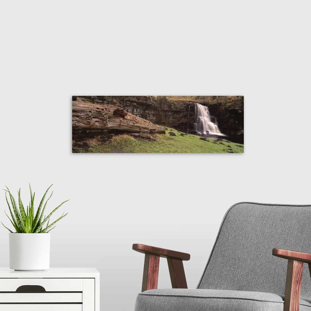 A modern room featuring Bare tree lying on grass, East gill falls, Ingleton, North Yorkshire, England