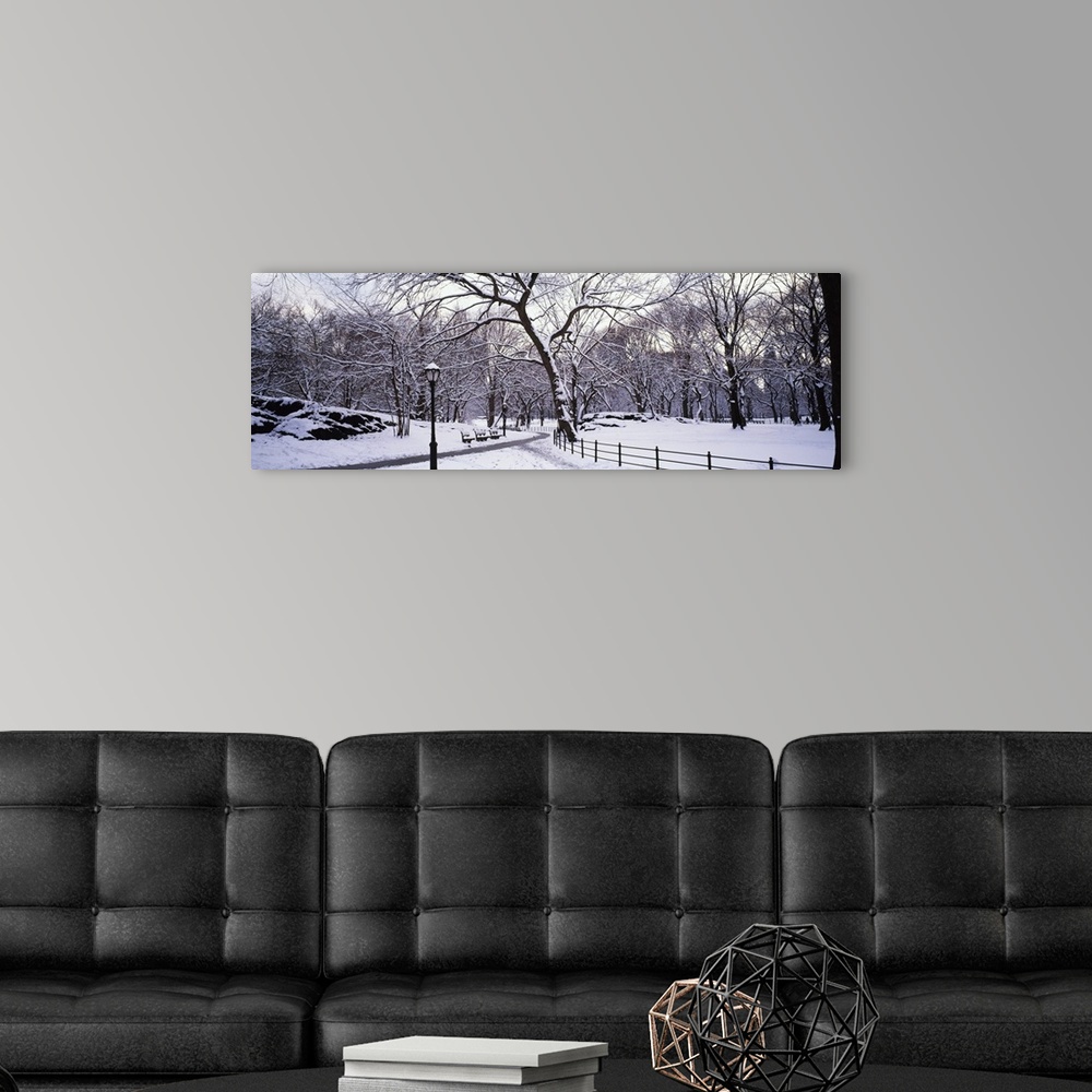 A modern room featuring Panoramic photograph of snow covered park.  There are benches, trees, a wooden fence and snow-cle...