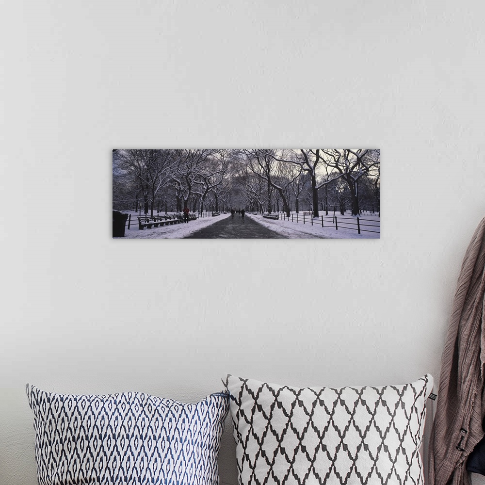 A bohemian room featuring Panoramic view of a cold, snowy walkway through Manhattan central park in New York.
