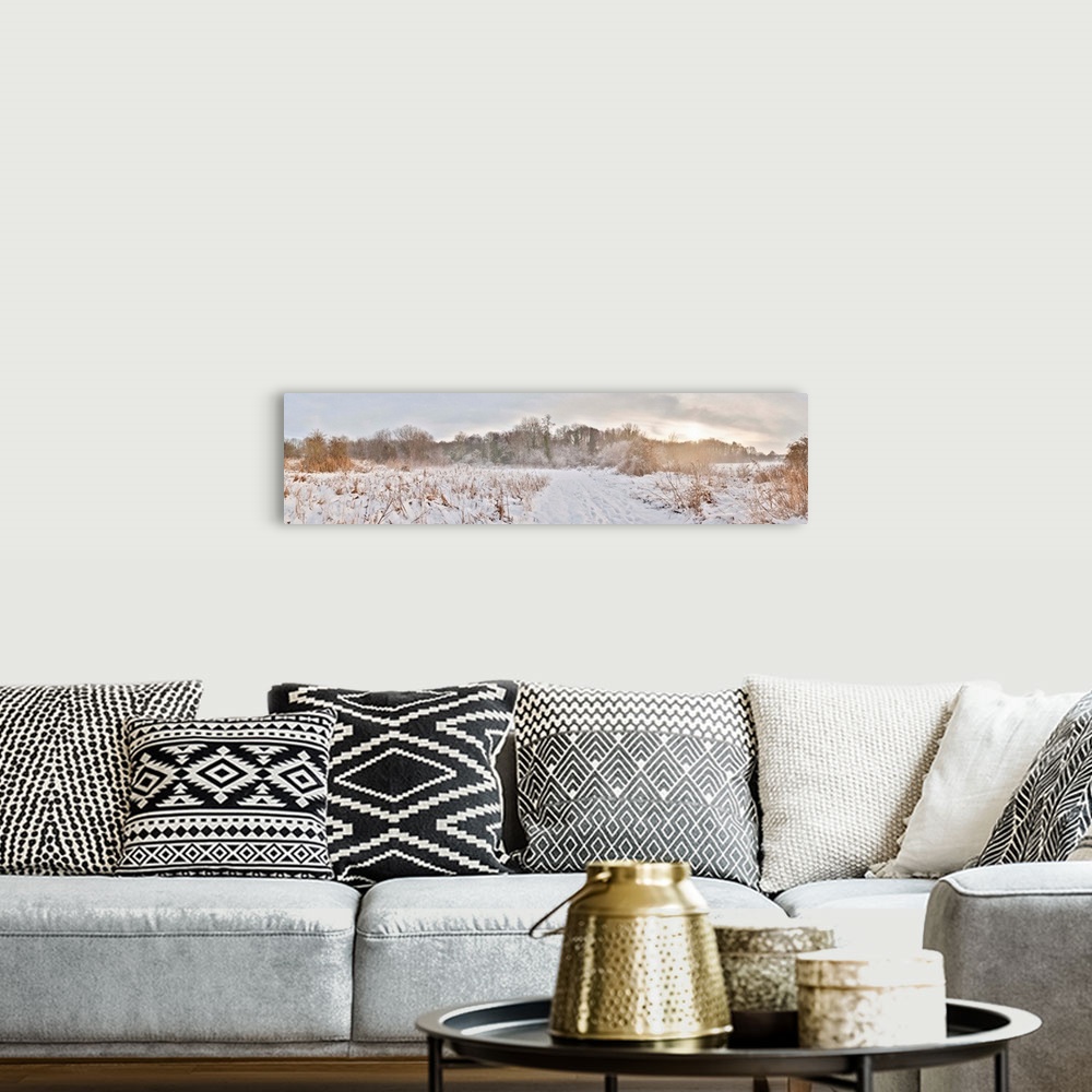 A bohemian room featuring Bare trees on a snow covered landscape, Hapton, Norfolk, England