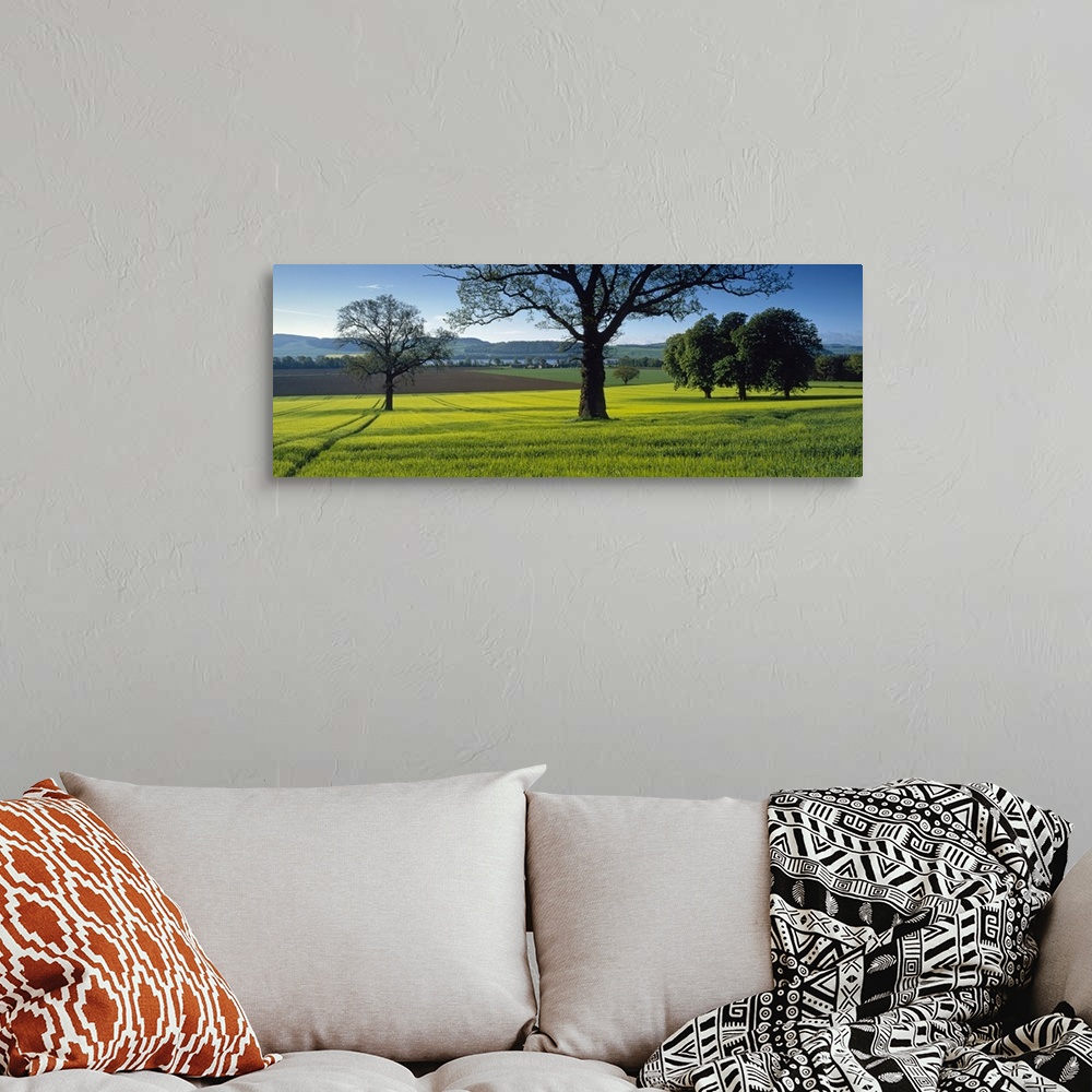 A bohemian room featuring Panoramic photo on canvas of a field of grass with trees sprinkled throughout and rolling hills i...