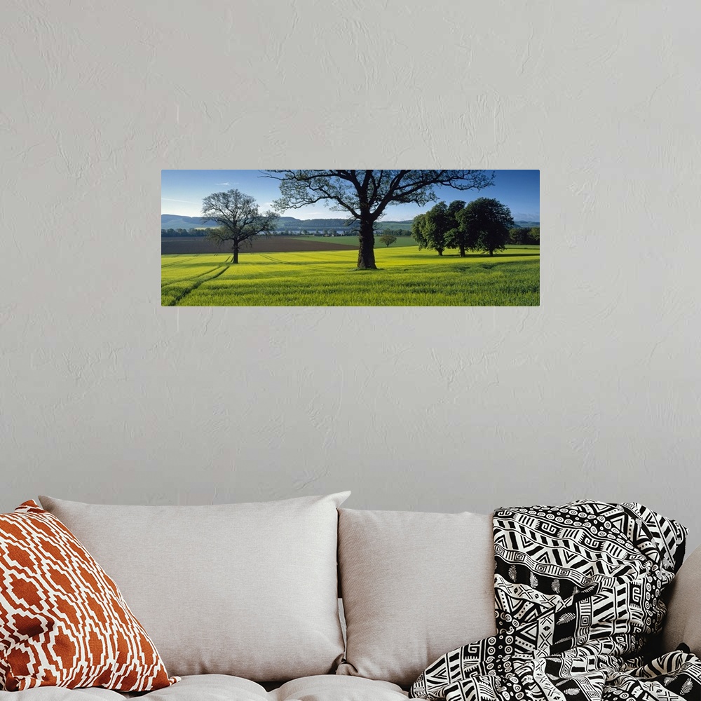 A bohemian room featuring Panoramic photo on canvas of a field of grass with trees sprinkled throughout and rolling hills i...