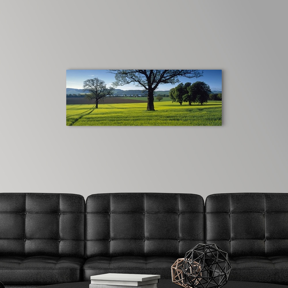 A modern room featuring Panoramic photo on canvas of a field of grass with trees sprinkled throughout and rolling hills i...