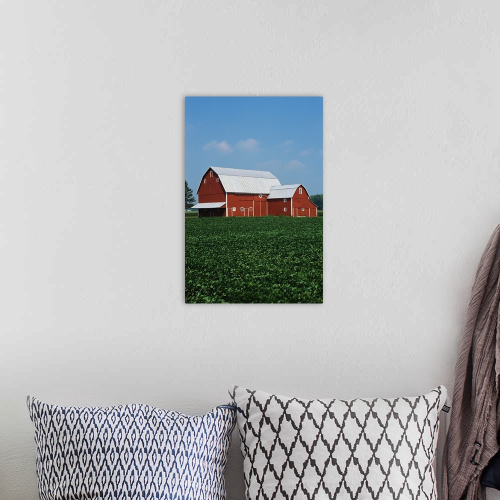 A bohemian room featuring Barn and Corn Field