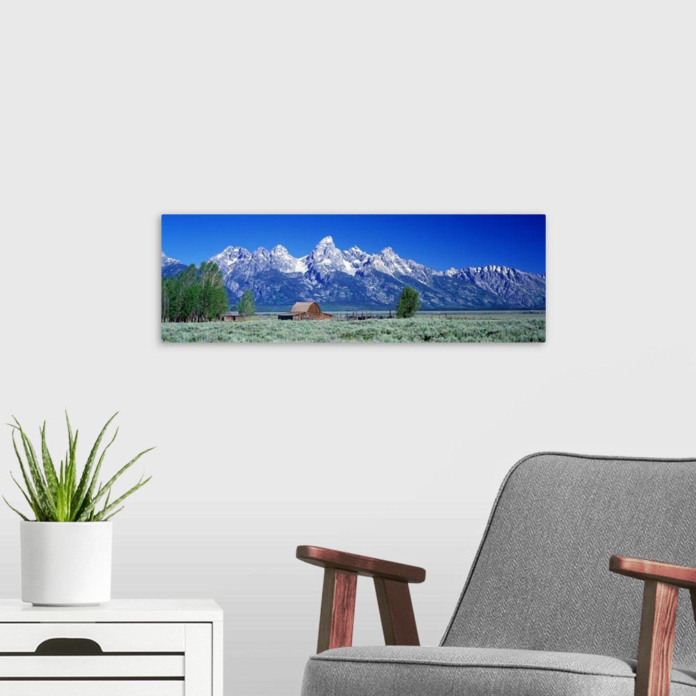 A modern room featuring Horizontal, large, panoramic photograph of a barn in a vast field in front of the Tetons in Grand...