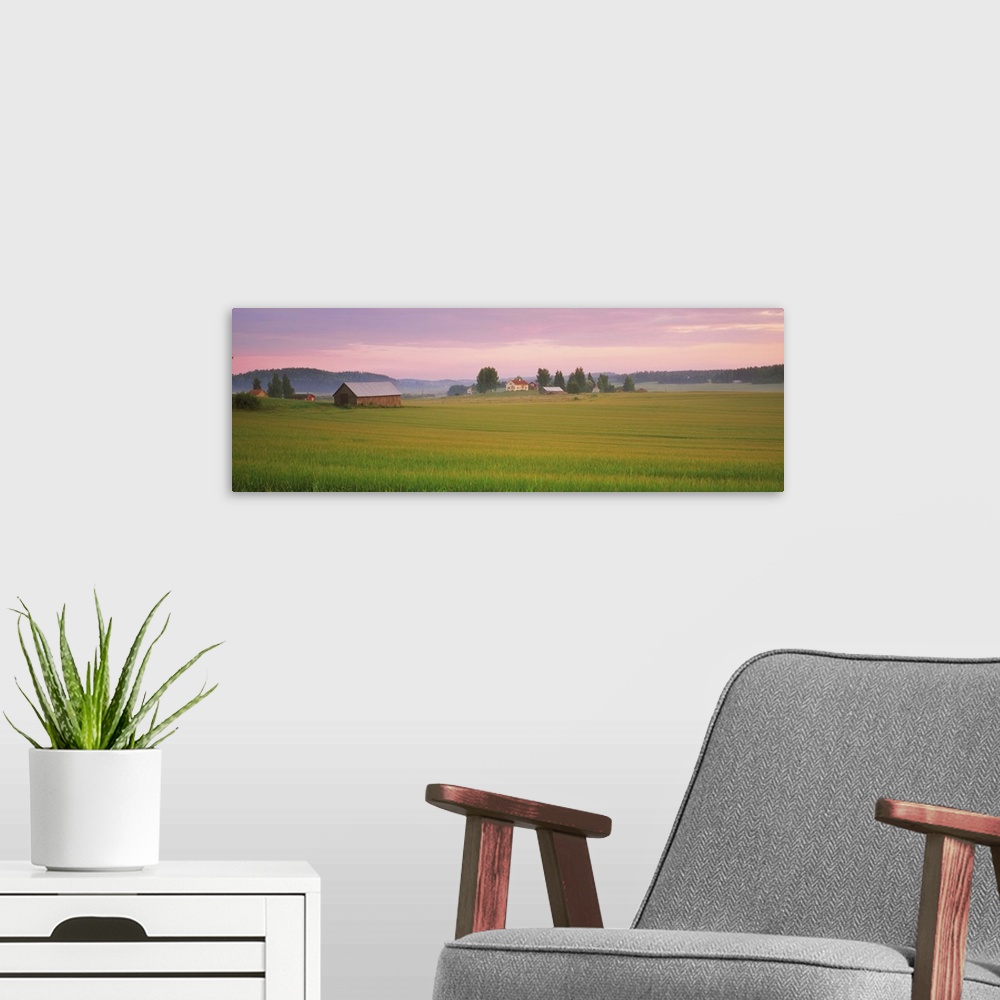 A modern room featuring Barn and wheat field across farmlands at dawn, Finland
