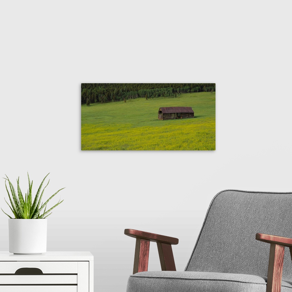 A modern room featuring Barn in a field