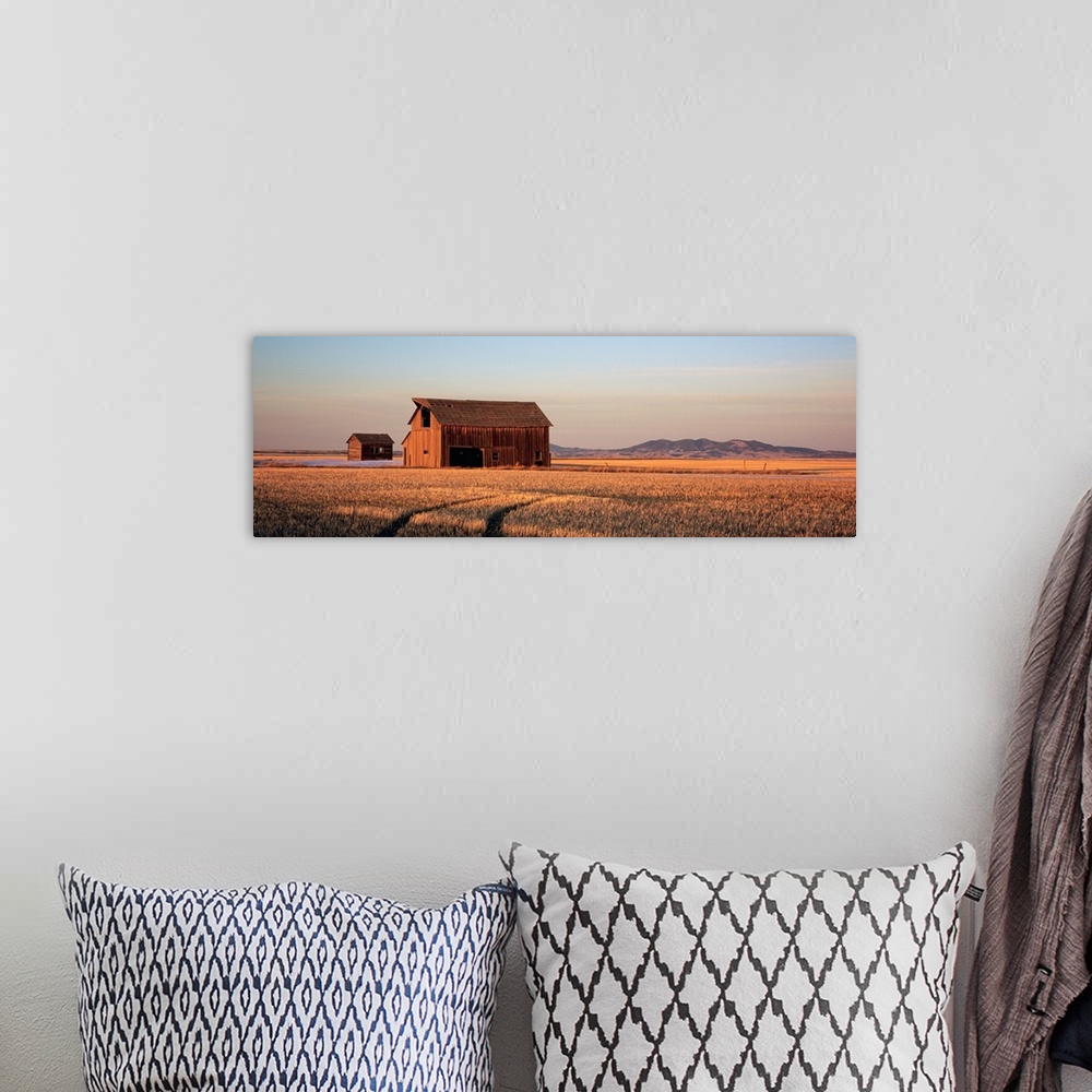 A bohemian room featuring Panoramic photo of an old wood slat barn in the middle of a wide open field with the sun casting ...
