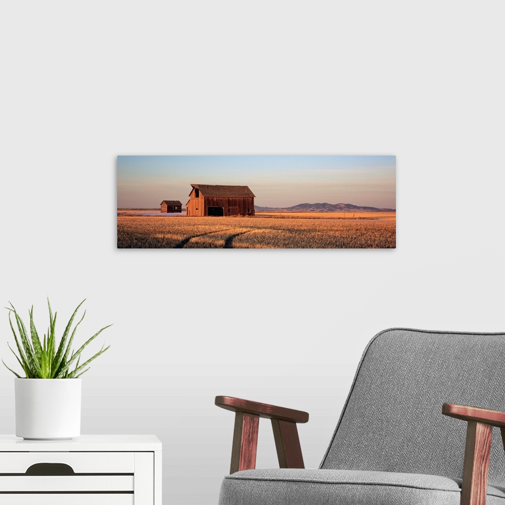 A modern room featuring Panoramic photo of an old wood slat barn in the middle of a wide open field with the sun casting ...