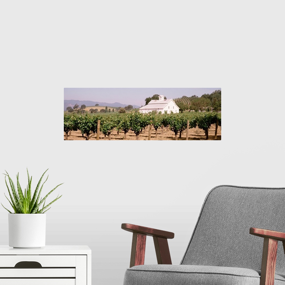 A modern room featuring Barn in a vineyard, Napa Valley, California