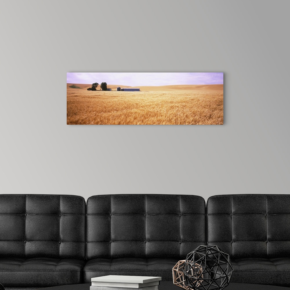 A modern room featuring Barn in a wheat field, Palouse Country, Washington State