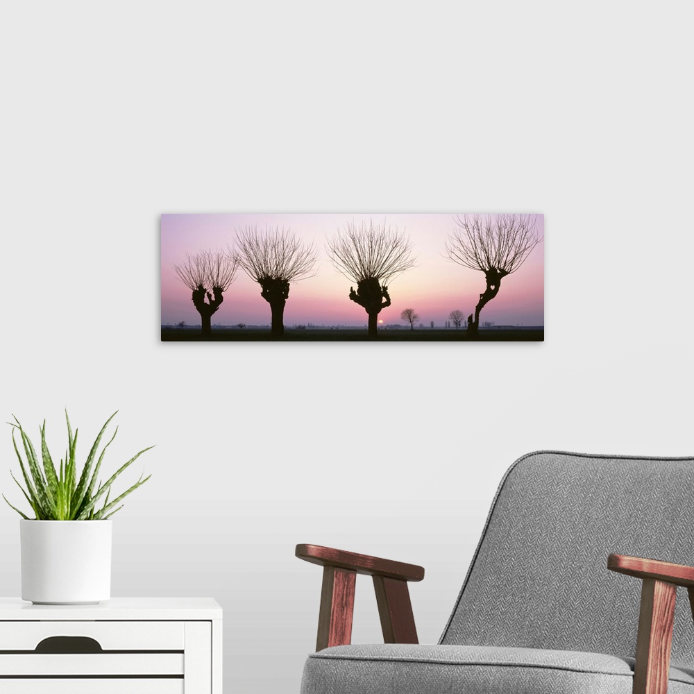 A modern room featuring Barren Willows at Sunset Italy