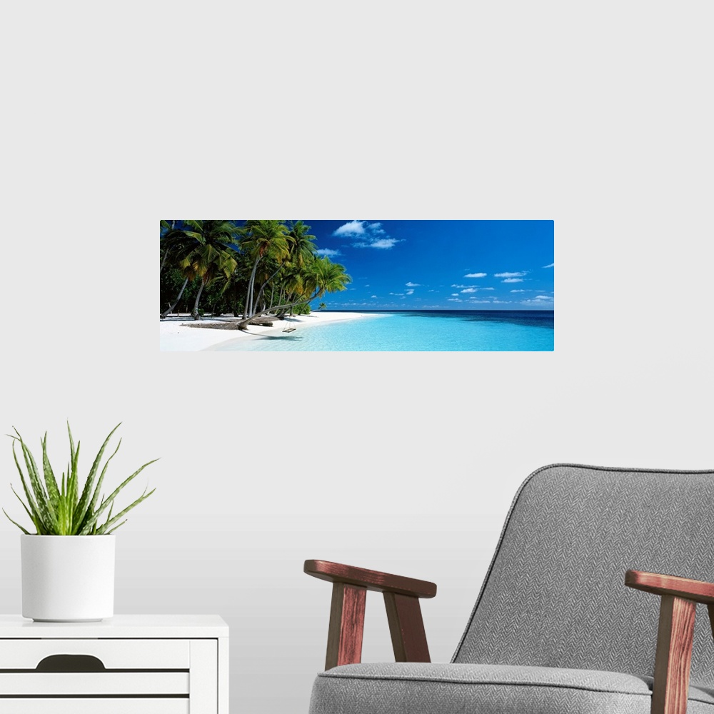 A modern room featuring Panoramic photograph of a vibrant beach on a sunny day in Maldives.  The tall palm trees run acro...