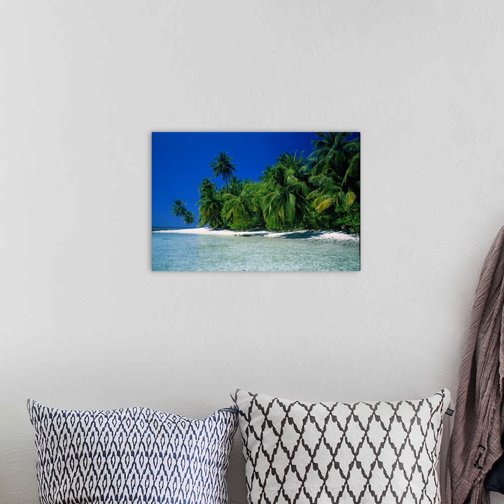A bohemian room featuring Photographic print of a luscious forest of palm trees meeting a white sand beach with crystal cle...
