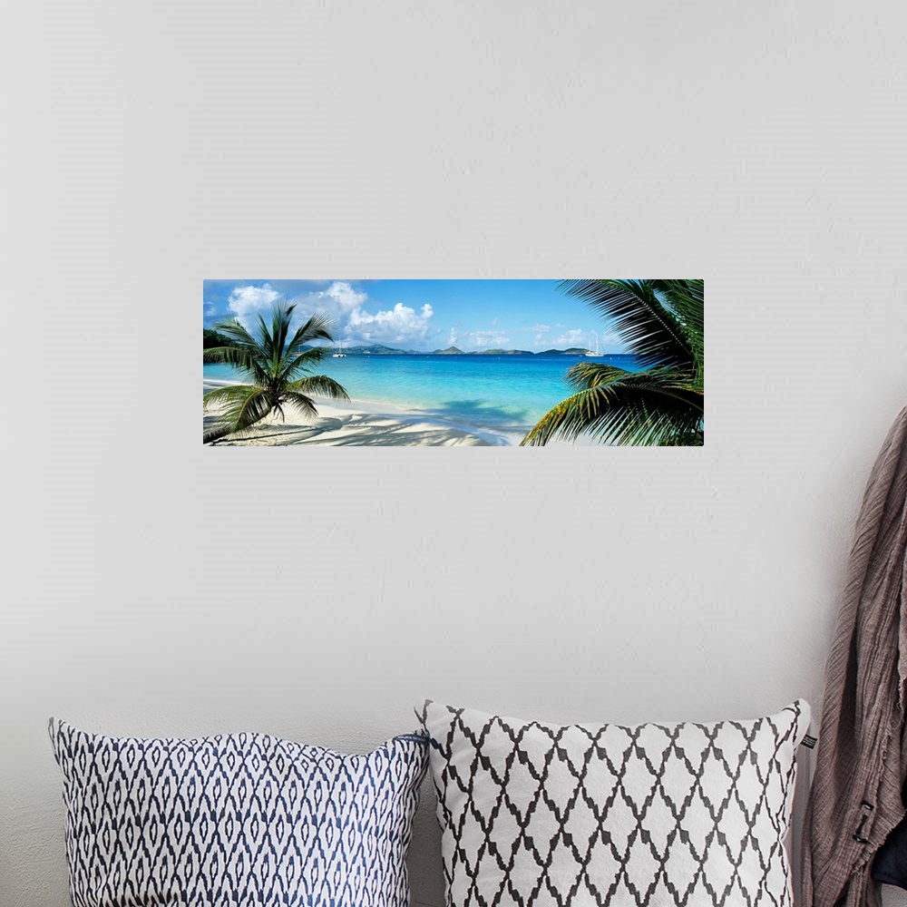 A bohemian room featuring Wide panoramic photograph of windswept trees on a tropical beach with sail boats in the harbor.