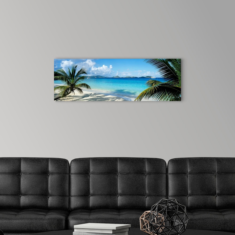 A modern room featuring Wide panoramic photograph of windswept trees on a tropical beach with sail boats in the harbor.