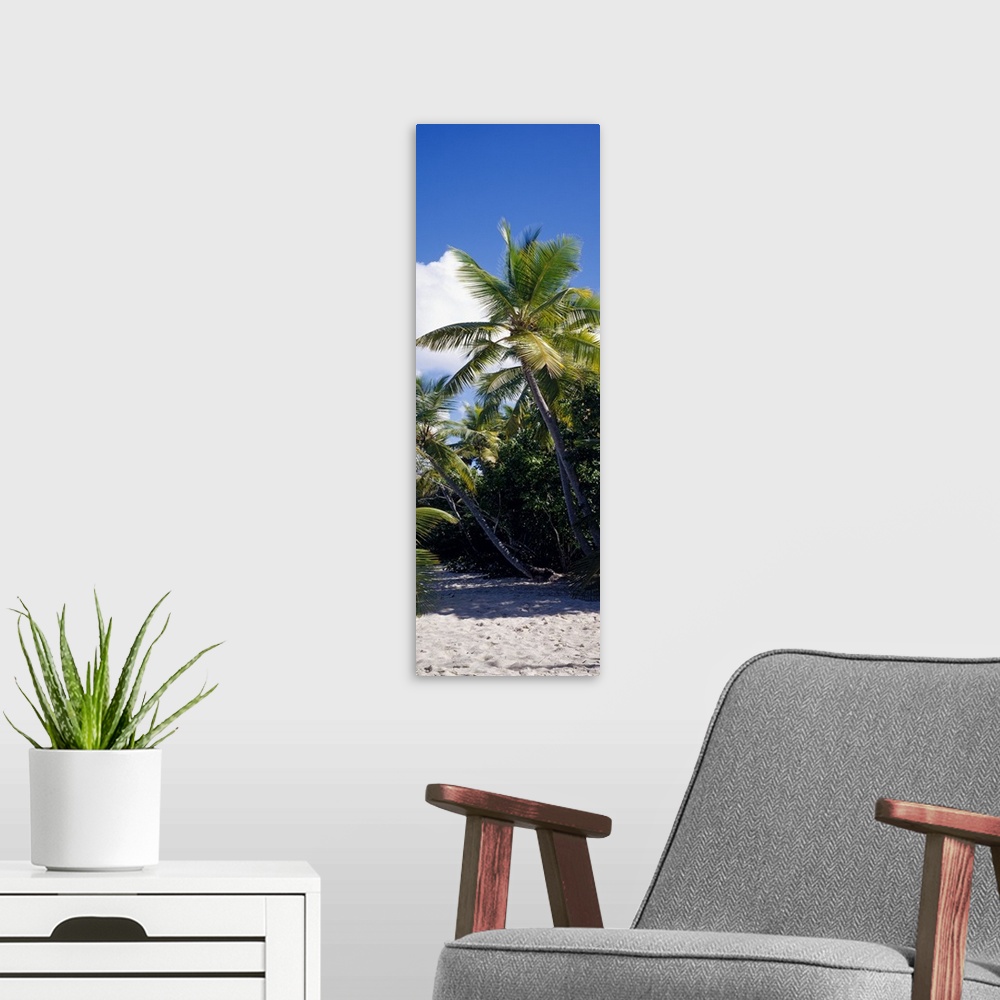 A modern room featuring A tall vertical piece of palm trees stretching over white sand with a clear blue sky above.