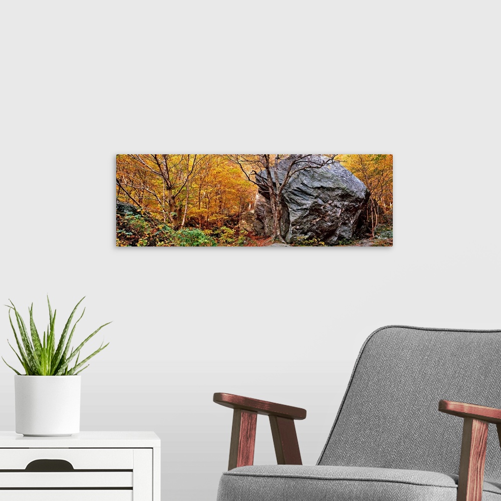 A modern room featuring Big boulder in a forest, Stowe, Lamoille County, Vermont