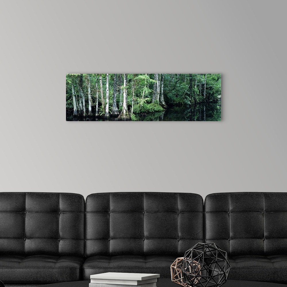 A modern room featuring Big Cypress Nature Preserve FL