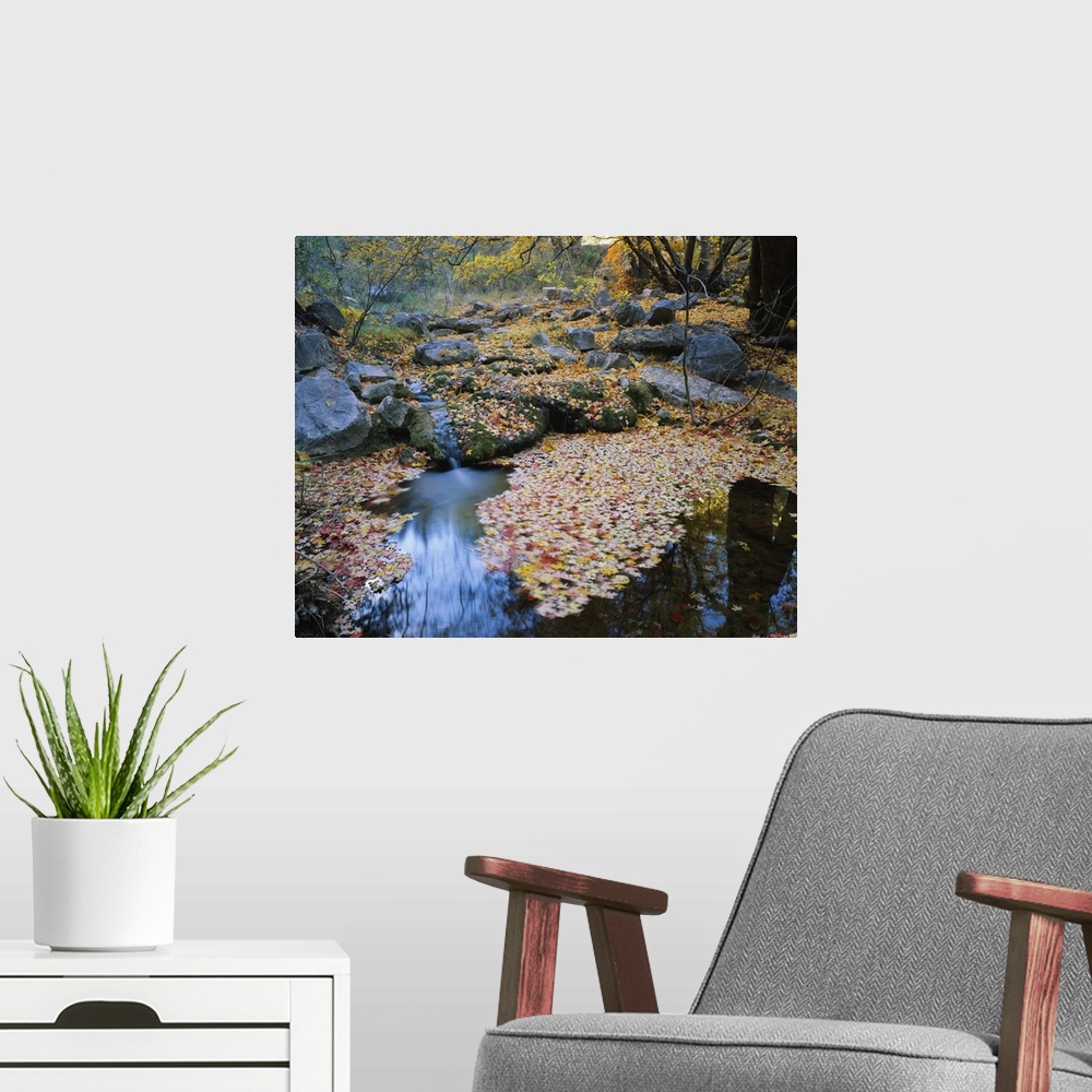 A modern room featuring Autumn colored leaves lay on the surface of water and the rocks that surround it.